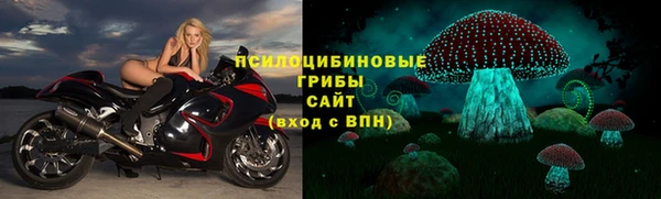 эйфоретик Абаза
