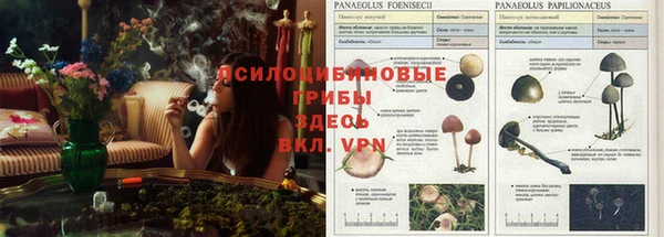 кокаин Абинск