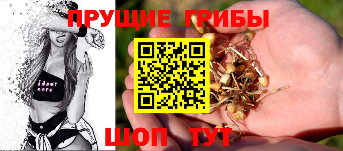 Галлюциногенные грибы прущие грибы  Вход с VPN  магазин продажи   Псилоцибиновые грибы ЛСД  Сафоново 